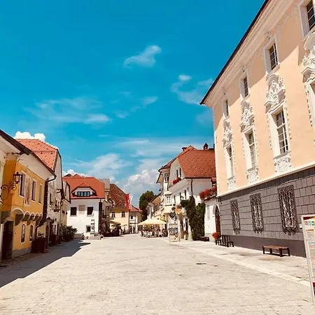 招待所 伍德豪斯住宿加早餐旅馆 3*