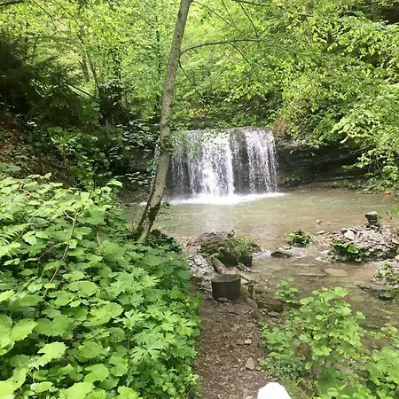 伍德豪斯住宿加早餐旅馆 3*