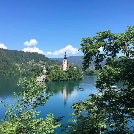 Гостевой дом Woodhouse